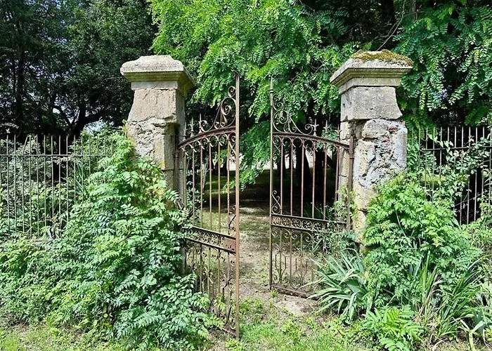 ゲストハウス Domaine De Lasserre Lupiac